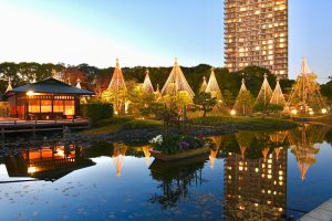 白鳥庭園、観楓会、紅葉、ライトアップ、11月、秋、名古屋市熱田区の観光・撮影スポットの画像と写真