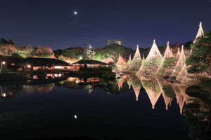 白鳥庭園、観楓会、あかりアート、雪吊り、清羽亭、紅葉、ライトアップ、2019年11月、秋, 名古屋市熱田区の観光・撮影スポットの画像と写真