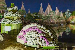 白鳥白鳥庭園、観楓会、紅葉、ライトアップ、11月、秋、名古屋市熱田区の観光・撮影スポットの画像と写真
