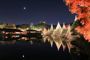 白鳥庭園、観楓会、あかりアート、雪吊り、清羽亭、紅葉、ライトアップ、2019年11月、秋, 名古屋市熱田区の観光・撮影スポットの画像と写真