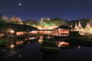 白鳥庭園、観楓会、あかりアート、雪吊り、清羽亭、紅葉、ライトアップ、2019年11月、秋, 名古屋市熱田区の観光・撮影スポットの画像と写真