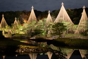 白鳥庭園、観楓会、紅葉、ライトアップ、11月、秋、名古屋市熱田区の観光・撮影ス白鳥庭園、観楓会、紅葉、ライトアップ、11月、秋、名古屋市熱田区の観光・撮影スポットの画像と写真