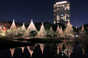 白鳥庭園、観楓会、あかりアート、雪吊り、清羽亭、紅葉、ライトアップ、2019年11月、秋, 名古屋市熱田区の観光・撮影スポットの画像と写真