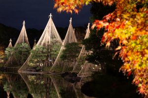 白鳥庭園、観楓会、紅葉、ライトアップ、11月、秋、名古屋市熱田区の観光・撮影スポットの画像と写真白鳥庭園、観楓会、紅葉、ライトアップ、11月、秋、名古屋市熱田区の観光・撮影スポットの画像と写真