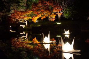 白鳥庭園、観楓会、紅葉、ライトアップ、11月、秋、名古屋市熱田区の観光・撮影スポットの画像と写真
