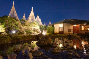 白鳥庭園、観楓会、紅葉、ライトアップ、11月、秋、名古屋市熱田区の観光・撮影スポットの画像と写真
