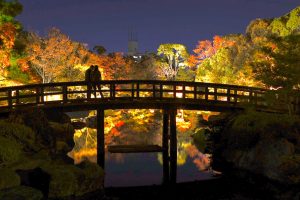 白鳥庭園、観楓会、紅葉、ライトアップ、11月、秋、名古屋市熱田区の観光・撮影スポットの画像と写真