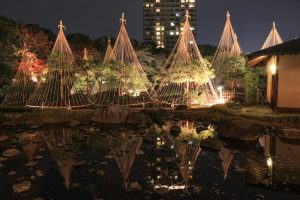 白鳥庭園、観楓会、あかりアート、雪吊り、清羽亭、紅葉、ライトアップ、2019年11月、秋, 名古屋市熱田区の観光・撮影スポットの画像と写真