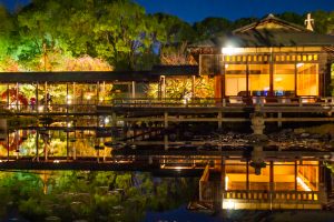白鳥庭園、観楓会、紅葉、ライトアップ、11月、秋、名古屋市熱田区の観光・撮影スポットの画像と写真