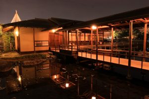 白鳥庭園、観楓会、あかりアート、雪吊り、清羽亭、紅葉、ライトアップ、2019年11月、秋, 名古屋市熱田区の観光・撮影スポットの画像と写真