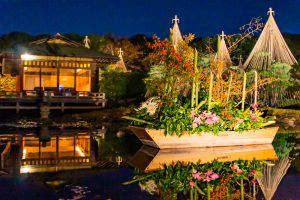 白鳥白鳥庭園、観楓会、紅葉、ライトアップ、11月、秋、名古屋市熱田区の観光・撮影スポットの画像と写真