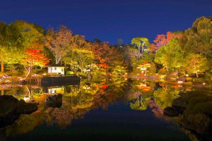 白鳥庭園、観楓会、紅葉、ライトアップ、11月、秋、名古屋市熱田区の観光・撮影スポットの画像と写真