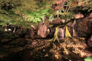 白鳥庭園、観楓会、あかりアート、雪吊り、清羽亭、紅葉、ライトアップ、2019年11月、秋, 名古屋市熱田区の観光・撮影スポットの画像と写真