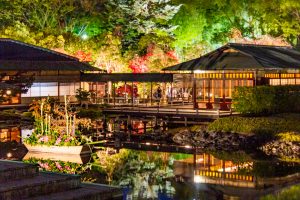 白鳥庭園、観楓会、紅葉、ライトアップ、11月、秋、名古屋市熱田区の観光・撮影スポットの画像と写真
