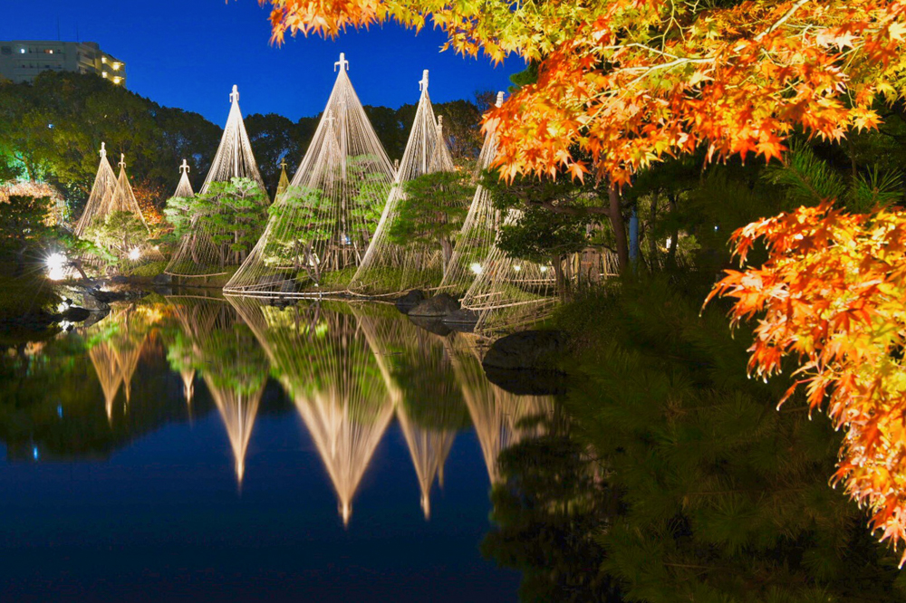 白鳥庭園 紅葉 あかりアート 名古屋市熱田区の観光 撮影スポットの名所