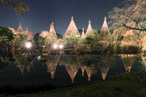 白鳥庭園、観楓会、あかりアート、雪吊り、清羽亭、紅葉、ライトアップ、2019年11月、秋, 名古屋市熱田区の観光・撮影スポットの画像と写真