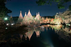 白鳥庭園、観楓会、あかりアート、雪吊り、清羽亭、紅葉、ライトアップ、2019年11月、秋, 名古屋市熱田区の観光・撮影スポットの画像と写真
