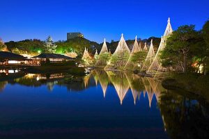 白鳥庭園、観楓会、紅葉、ライトアップ、11月、秋、名古屋市熱田区の観光・撮影スポットの画像と写真