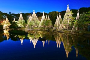 白鳥庭園、観楓会、紅葉、ライトアップ、11月、秋、名古屋市熱田区の観光・撮影スポットの画像と写真