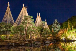 白鳥庭園、観楓会、紅葉、ライトアップ、11月、秋、名古屋市熱田区の観光・撮影スポットの画像と写真