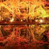 曽木公園、紅葉、ライトアップ、11月秋、岐阜県土岐市の観光・撮影スポットの画像と写真