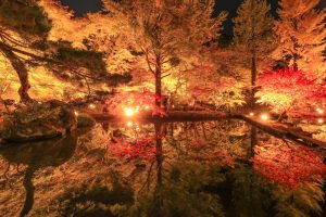 曽木公園、紅葉、ライトアップ、11月秋、岐阜県土岐市の観光・撮影スポットの画像と写真