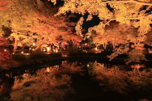 曽木公園、紅葉、ライトアップ、11月秋、岐阜県土岐市の観光・撮影スポットの画像と写真