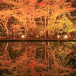 曽木公園、紅葉、ライトアップ、11月秋、岐阜県土岐市の観光・撮影スポットの画像と写真