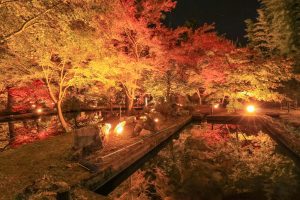 曽木公園、紅葉、ライトアップ、11月秋、岐阜県土岐市の観光・撮影スポットの画像と写真