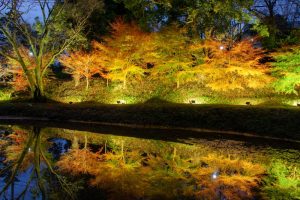 田丸城跡、紅葉、ライトアップ、11月秋、三重県度合町の観光・撮影スポットの画像と写真