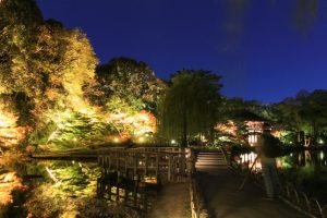 錦を纏う徳川園, 紅葉祭, ライトアップ, 11月秋、名古屋市東区の観光・撮影スポットの画像と写真