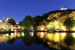 錦を纏う徳川園, 紅葉祭, ライトアップ, 11月秋、名古屋市東区の観光・撮影スポットの画像と写真