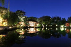 錦を纏う徳川園, 紅葉祭, ライトアップ, 11月秋、名古屋市東区の観光・撮影スポットの画像と写真