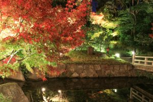 錦を纏う徳川園, 紅葉祭, ライトアップ, 11月秋、名古屋市東区の観光・撮影スポットの画像と写真