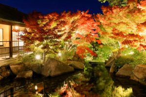 錦を纏う徳川園, 紅葉祭, ライトアップ, 11月秋、名古屋市東区の観光・撮影スポットの画像と写真