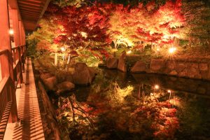錦を纏う徳川園, 紅葉祭, ライトアップ, 11月秋、名古屋市東区の観光・撮影スポットの画像と写真