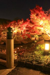 錦を纏う徳川園, 紅葉祭, ライトアップ, 11月秋、名古屋市東区の観光・撮影スポットの画像と写真