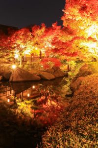 錦を纏う徳川園, 紅葉祭, ライトアップ, 11月秋、名古屋市東区の観光・撮影スポットの画像と写真