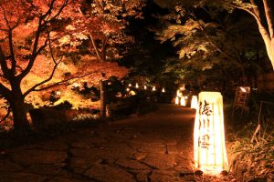 錦を纏う徳川園, 紅葉祭, ライトアップ, 11月秋、名古屋市東区の観光・撮影スポットの画像と写真
