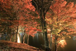 茶臼山高原、紅葉、ライトアップ、リフレクション、愛知県豊田市の観光・撮影スポットの画像と写真