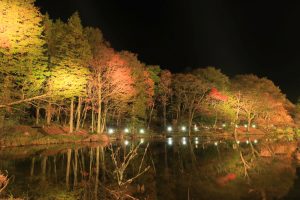 茶臼山高原、紅葉、ライトアップ、リフレクション、愛知県豊田市の観光・撮影スポットの画像と写真
