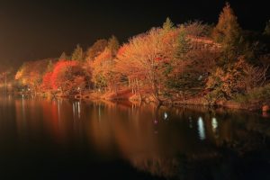 茶臼山高原、紅葉、ライトアップ、リフレクション、愛知県豊田市の観光・撮影スポットの画像と写真