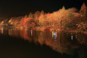 茶臼山高原、紅葉、ライトアップ、リフレクション、愛知県豊田市の観光・撮影スポットの画像と写真