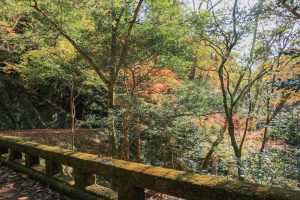 阿寺の七滝、紅葉、11月秋、愛知県新城市の観光・撮影スポットの画像と写真