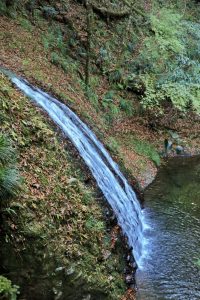阿寺の七滝、紅葉、11月秋、愛知県新城市の観光・撮影スポットの画像と写真