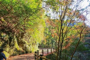 阿寺の七滝、紅葉、11月秋、愛知県新城市の観光・撮影スポットの画像と写真