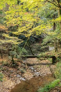 阿寺の七滝、紅葉、11月秋、愛知県新城市の観光・撮影スポットの画像と写真
