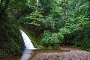 新城市の滝、阿寺の七滝、愛知県新城市の観光・撮影スポットの画像と写真