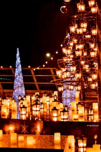 中部国際空港セントレア、クリスマスイルミネーション、12月冬、愛知県常滑市の観光・撮影スポットの画像と写真