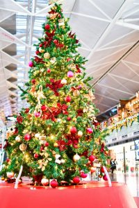 中部国際空港セントレア、クリスマスイルミネーション、12月冬、愛知県常滑市の観光・撮影スポットの画像と写真